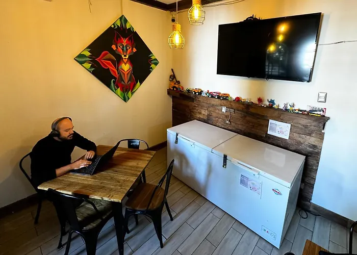 Casa de huéspedes: The Fox Hostel