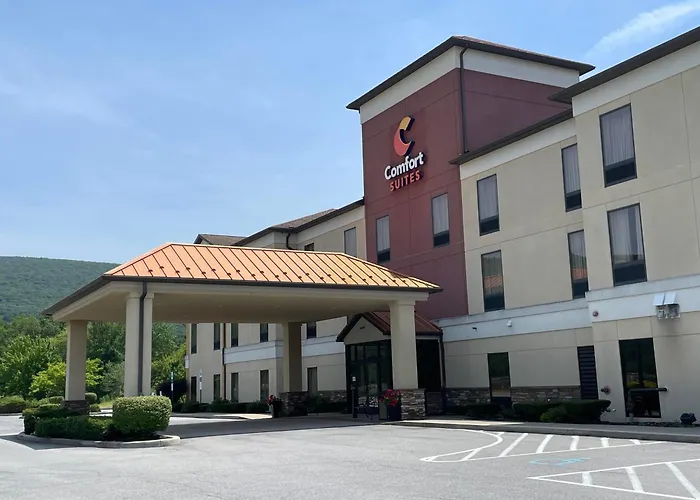 Pet Friendly hotel: Comfort Suites Altoona North