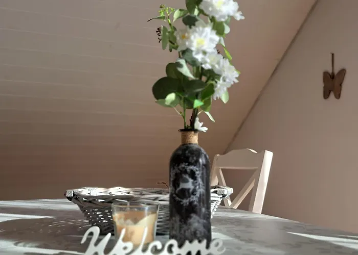 Hotel nahe College: Ferienwohnung Ludwigshöhe