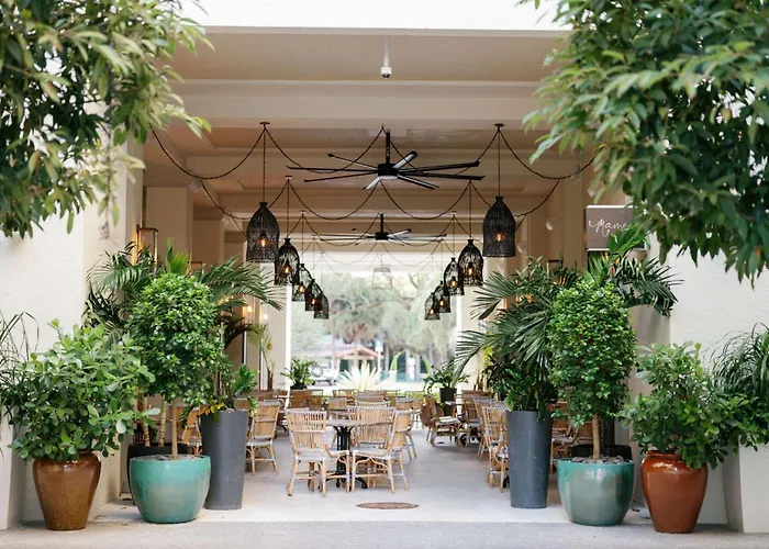 Pet Friendly hotel: Thesis Hotel Miami Coral Gables, Curio Collection By Hilton