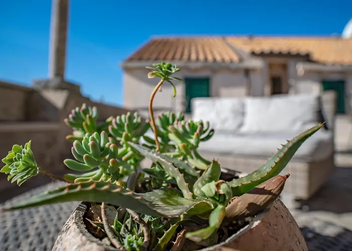 Hotel near College: Villa Ragusa Vecchia