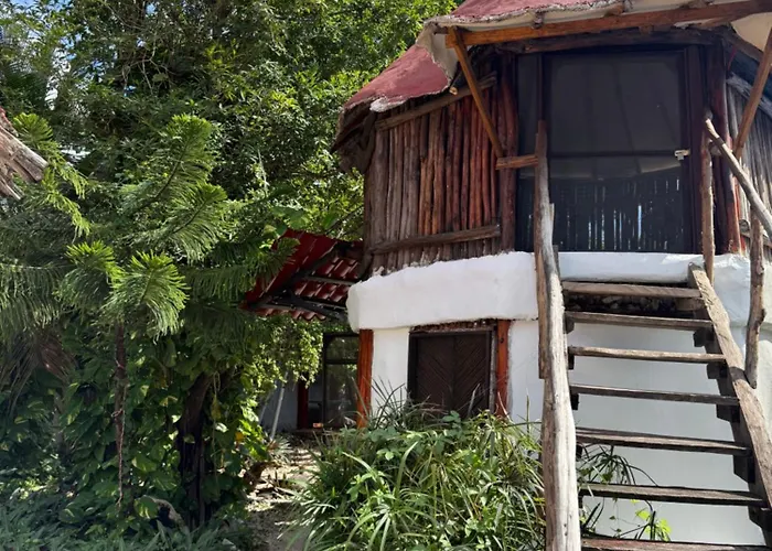 Hotel barato: Tree House Tulum