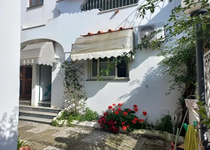 Hotel vicino al College: B&B Raggi d'Ischia