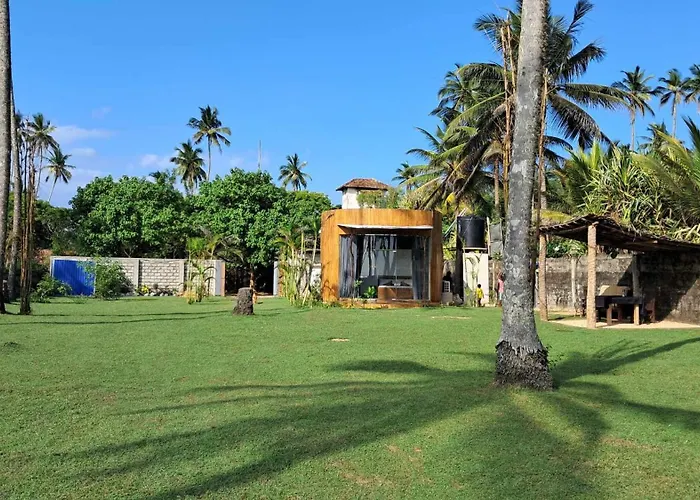 Coconut Tree Hill Rekawa