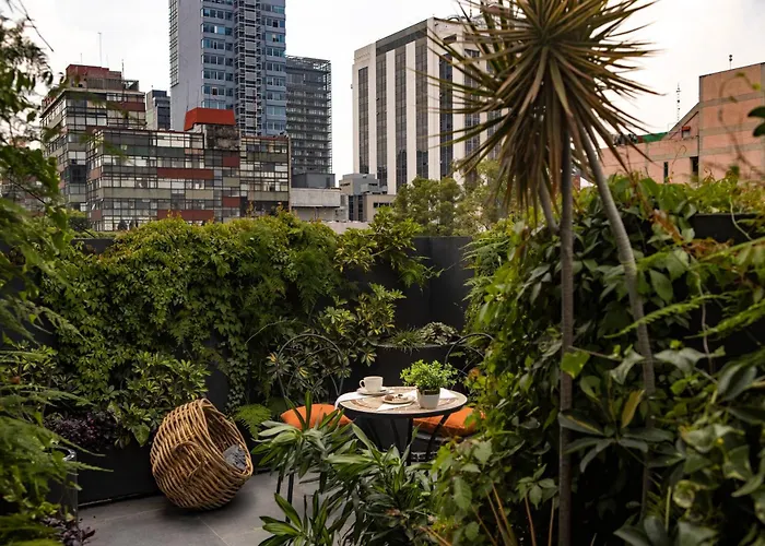 Reforma Guest House