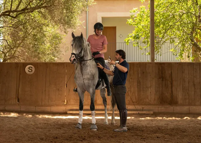  Finca Agroturismo Son Menut
