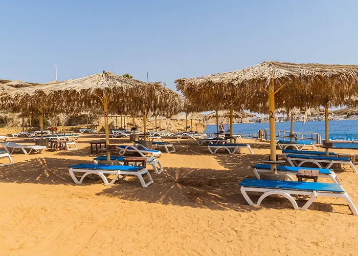 Resort: Sharm Reef Hotel