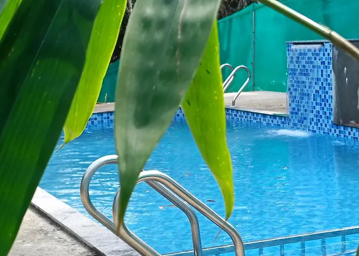 Misty Forest Resort Wayanad