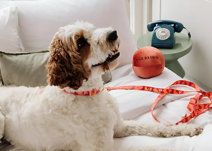 Max Brown Hotel Museum Square, Part Of Sircle Collection