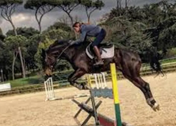 Gastenverblijf: Ciaoroma!