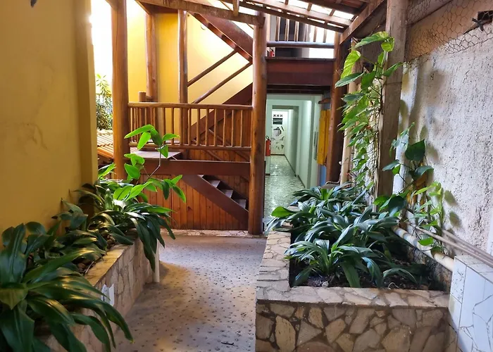 Hotel que aceita animais de estimação: O Pharol Hostel e Pousada