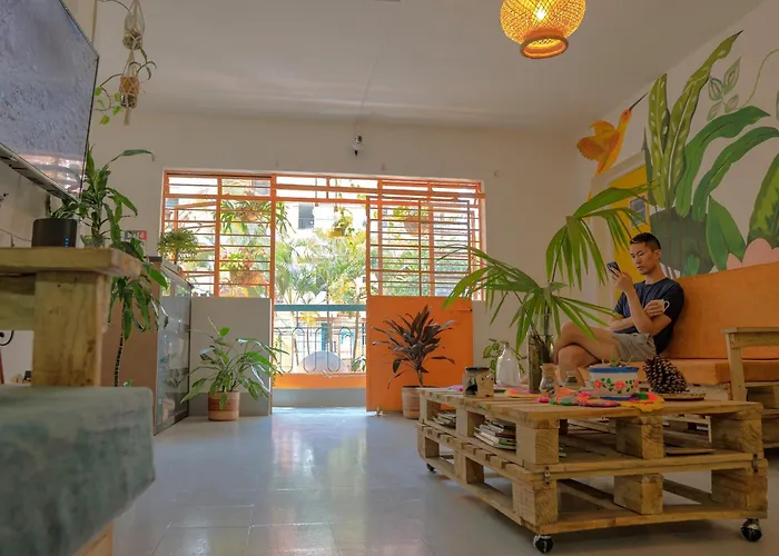Laureles Garden