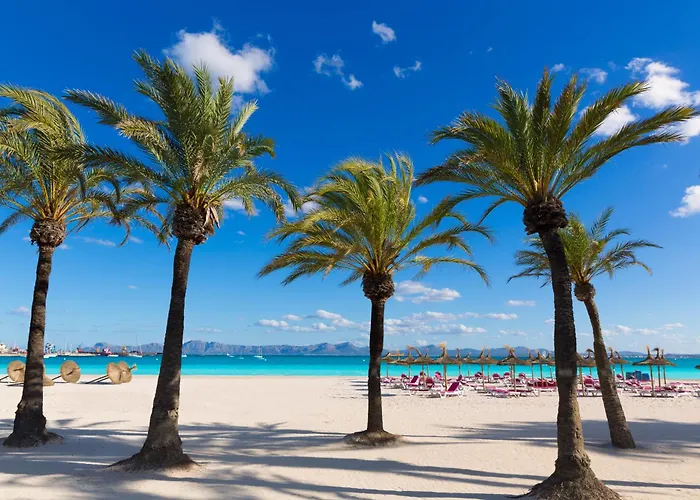Hotel de lujo: Alcudia Garden Aparthotel