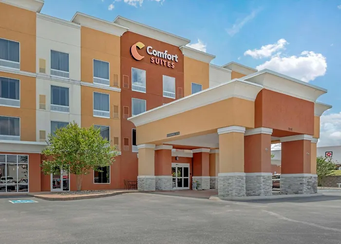 Hotel: Comfort Suites Knoxville East