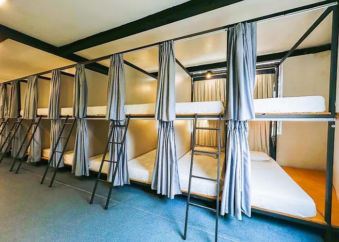Hotel de praia: Laika Hostel