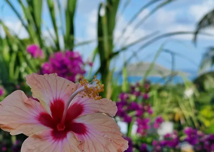 Villa: La Colline Verte