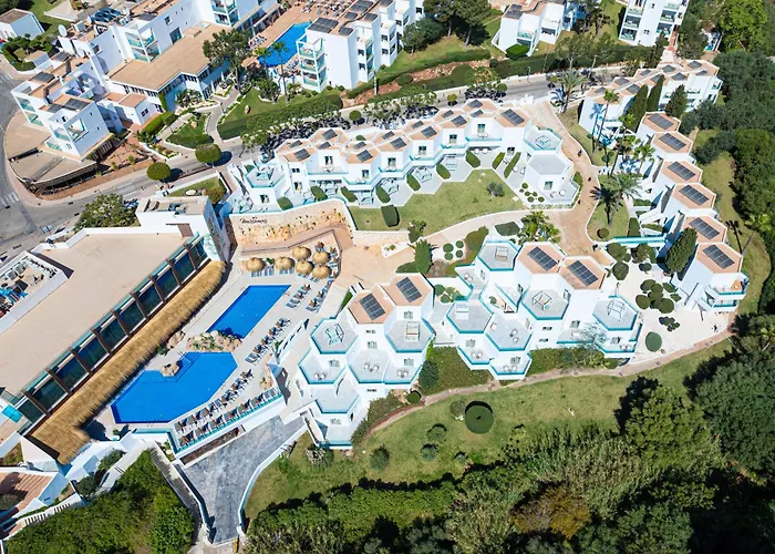 Marsenses Ferrera Blanca - Adults Only