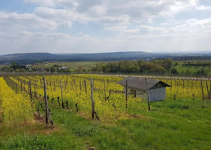 Winzerhaus Johannisberg - Weingut Michael Gietz