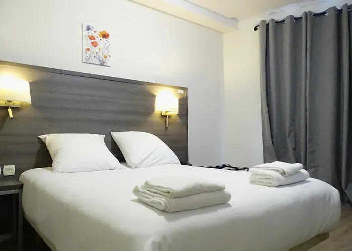 Hôtel accueillant les animaux: Hipotel Paris Voltaire Bastille