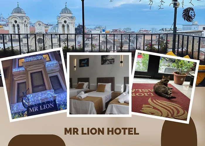 Haustierfreundliches Hotel: Mr Lion Kumkapi Otel