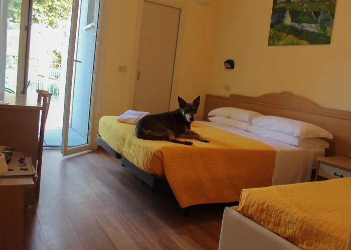 Hotel 3 stelle: Pet Hotel Virginia - Hotel per cani