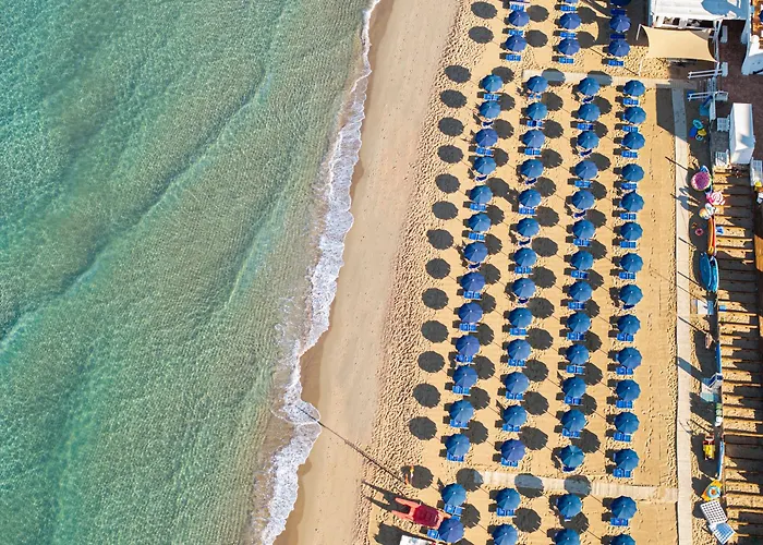 Hotel adatto agli animali: Hotel Le Dune