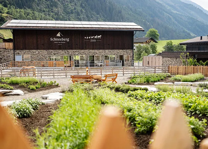 Hotel: Hotel Schneeberg Family Spa Resort