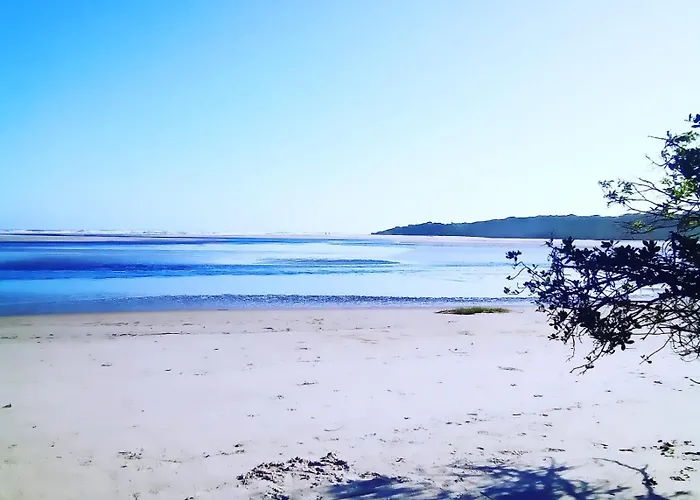 Apartamento: Apartamento Pé Na Areia