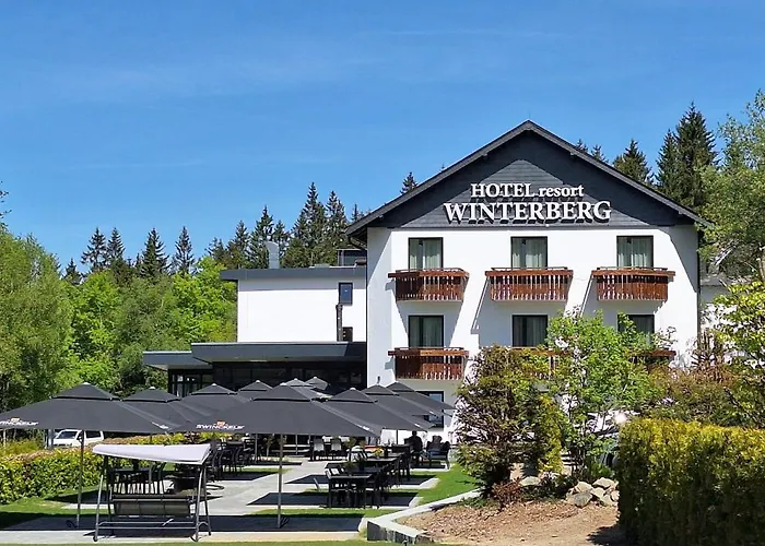 3-Sterne-Hotel: Hotel Winterberg Resort