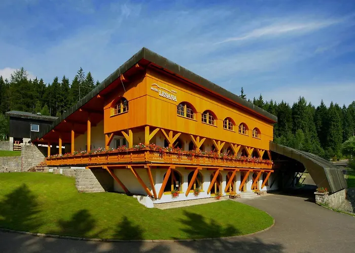 Hotel Lesana