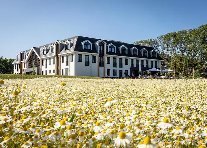 Hotel: Het Eilandhotel