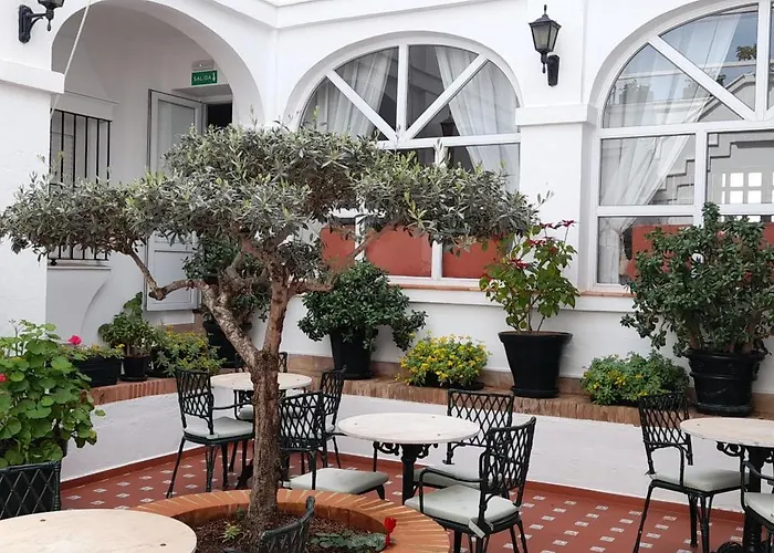 Los Olivos