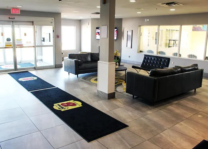 Pet Friendly hotel: Super 8 By Wyndham Edmonton South