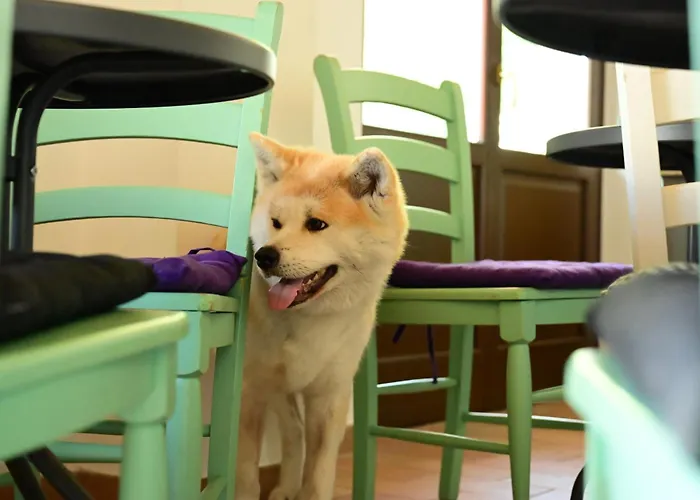 Casa vacanza: Moretti Village - SOPHIE ROOMS COUNTRY HOUSE