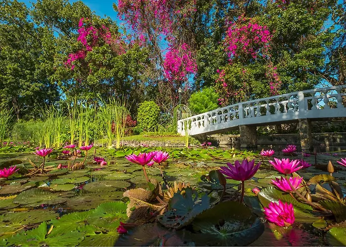 Resort: Montebello Villa Hotel