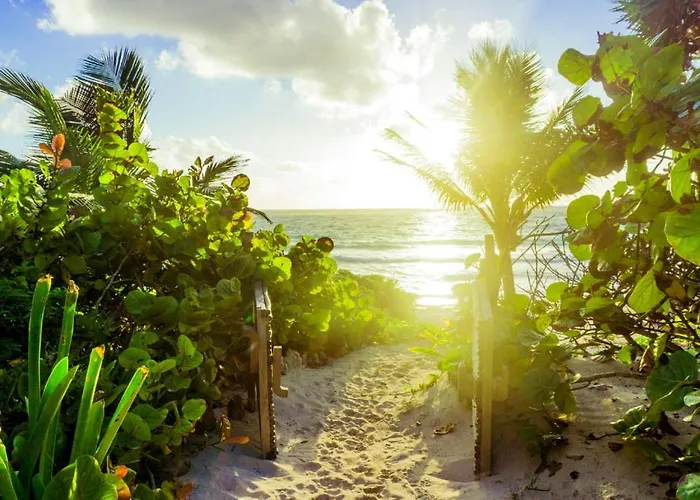 All Inclusive Beachfront In Beach
