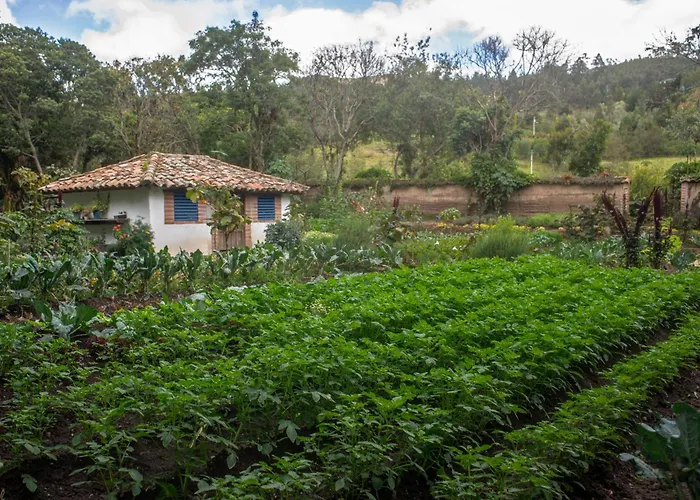 Hacienda Cusin