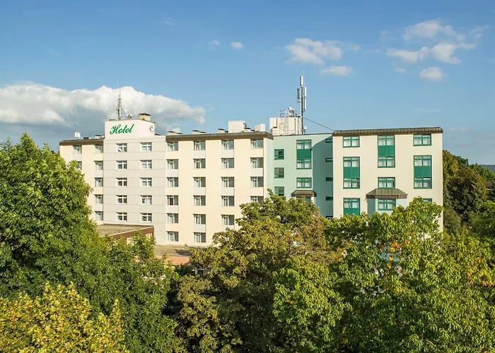  Western Plus Steinsgarten