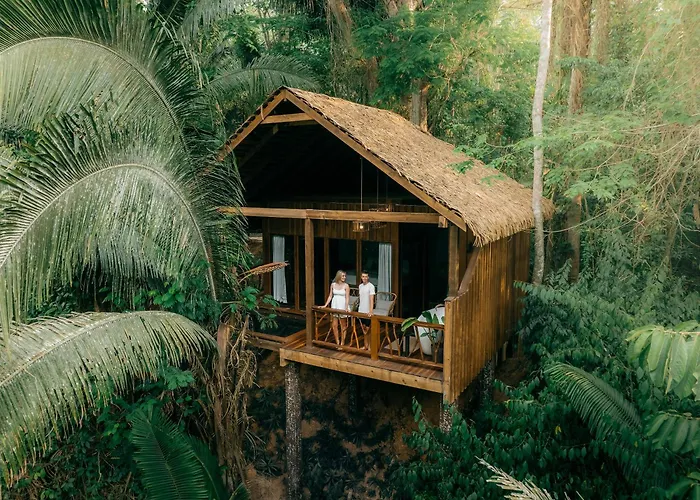Sweet Songs Jungle Lodge
