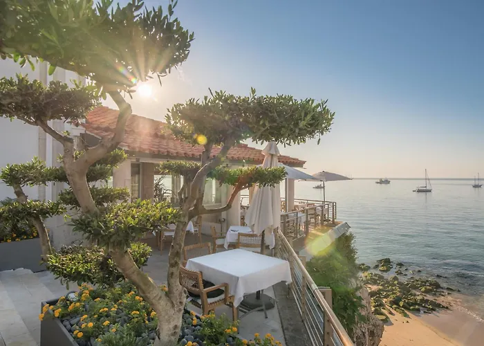 Hotel: The Albatroz Hotel