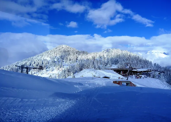 Cheap hotel: Chalet Hotel Du Bois