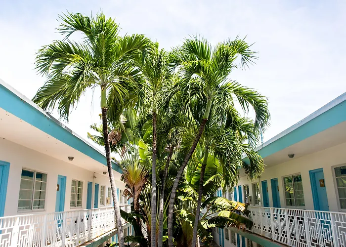 Hotel barato: Aqua Hotel & Suites