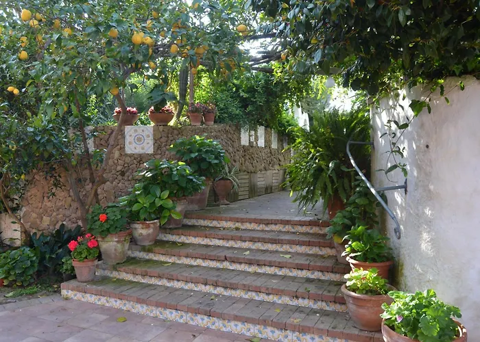 Hotel con tennis: Piccolo Tirreno Hotel Residence