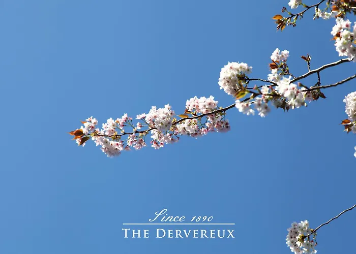 Devereux Boutique