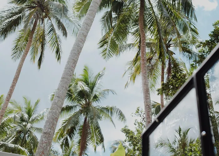 PALM Hotel