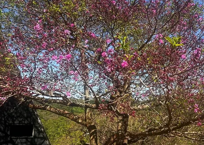 Mirante Morro dos Ventos