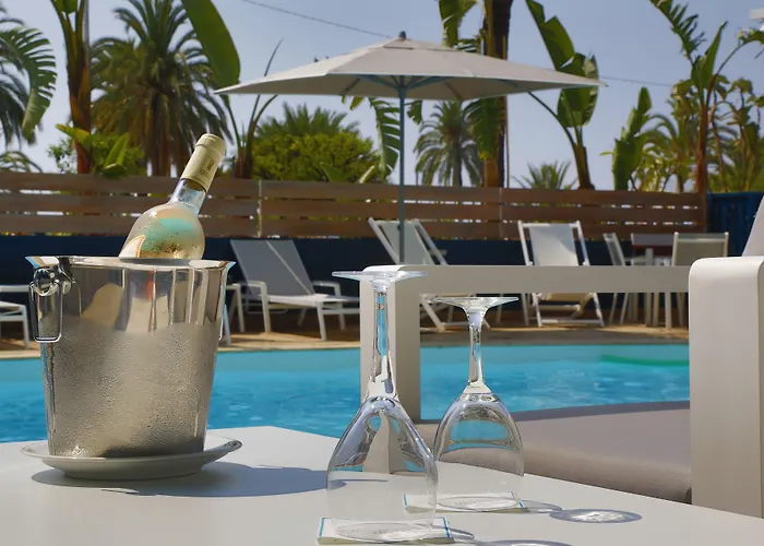 Dog friendly hotels Napoleon