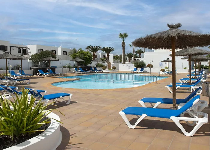  LIVVO Oasis