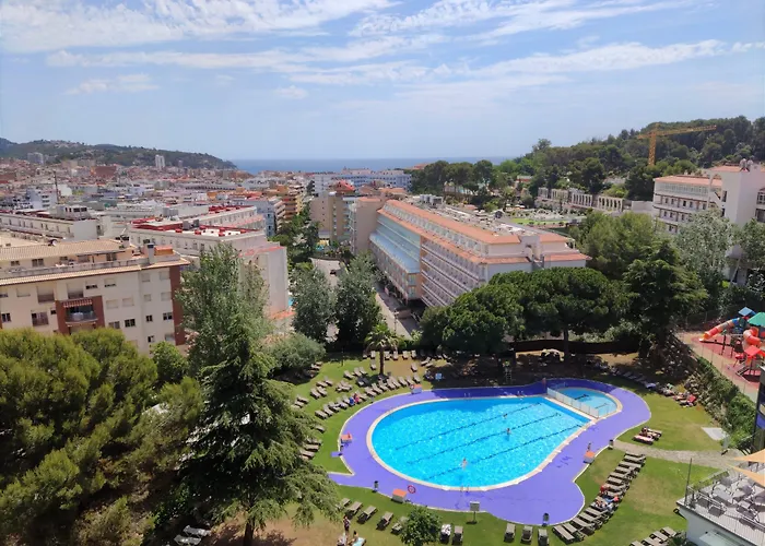 Hotel Ping Pong: Hotel Samba