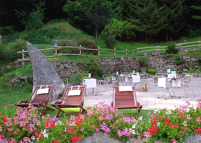 Ping Pong hotel: Les Campanules